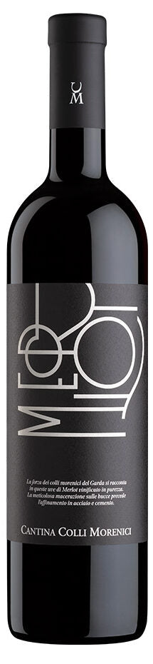Morenici-merlot