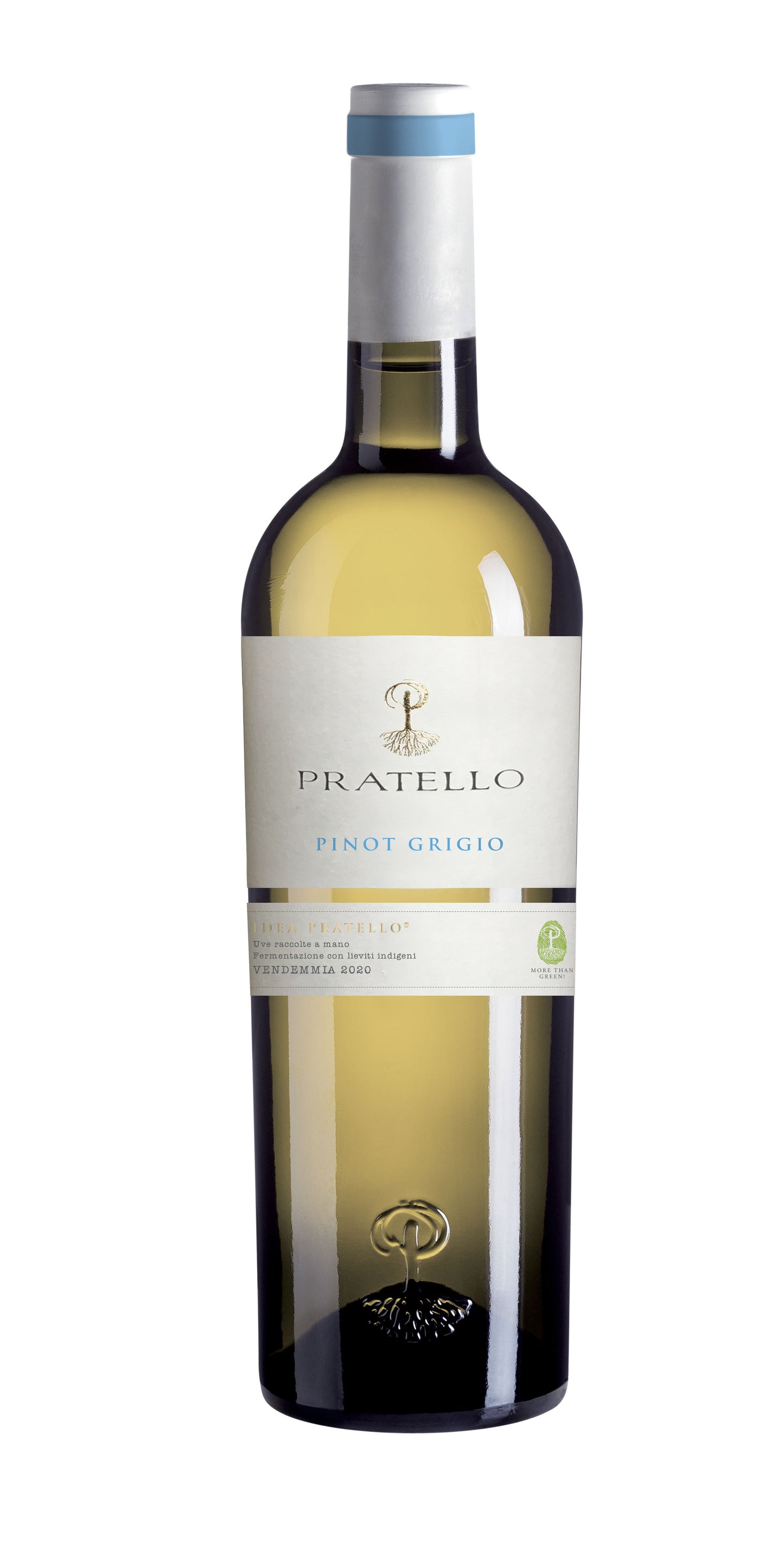 Pratello Pnot Grgio