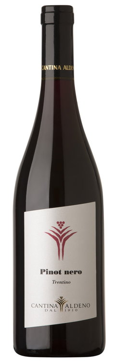 Aldeno Pinot Nero