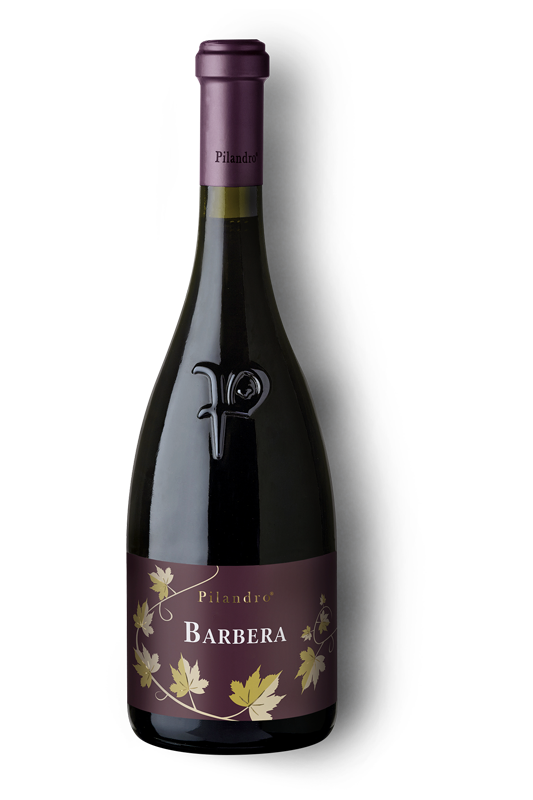Pilandro Barbera
