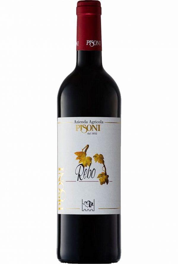 Pisoni Rebo